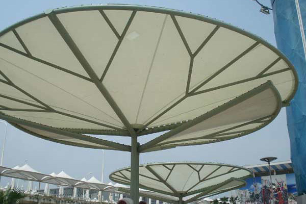 環境對于海南膜結構的影響：適應性、挑戰與未來展望